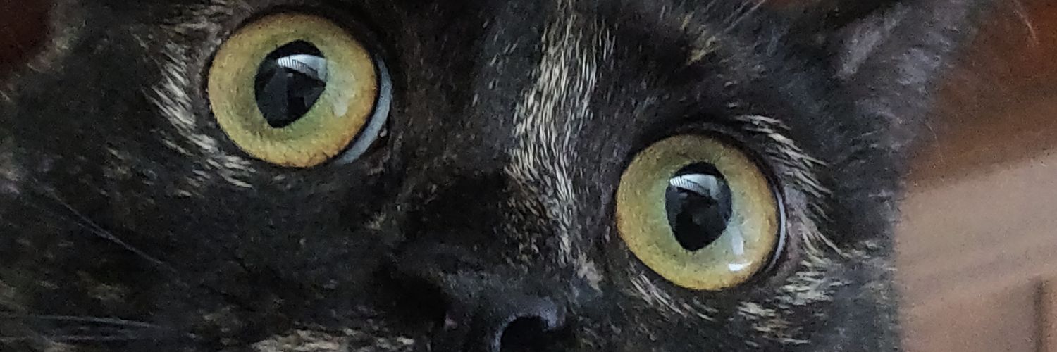 peanutundmich's profile banner image
