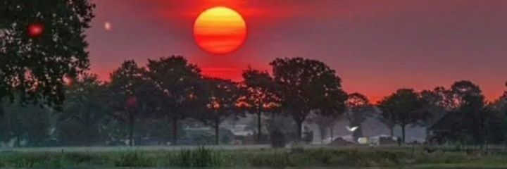 elzn___'s profile banner image