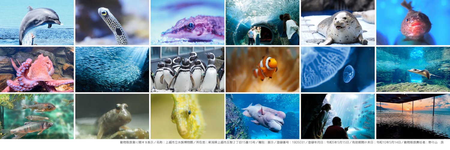 上越市立水族博物館 うみがたり banner