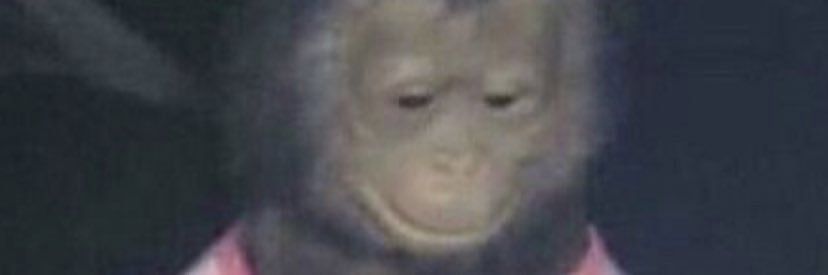 gbbyrdy's profile banner image