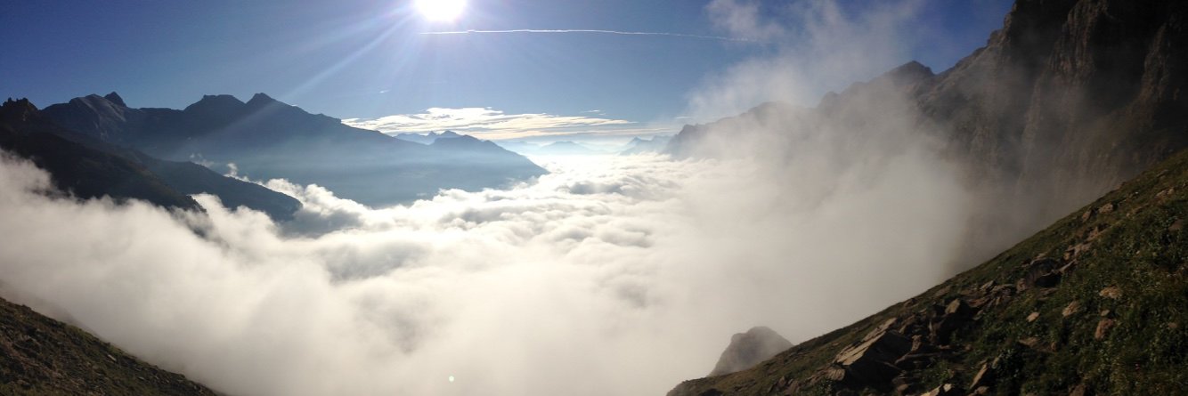 Beatrice Ellerhoff banner