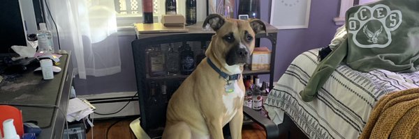 adonisjb22 Profile Banner