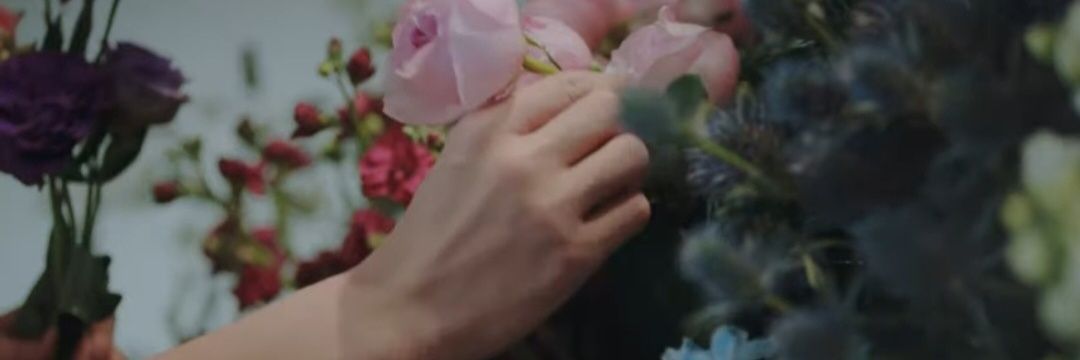 watatei036's profile banner image