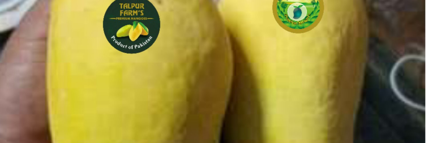 Talpur Traders banner