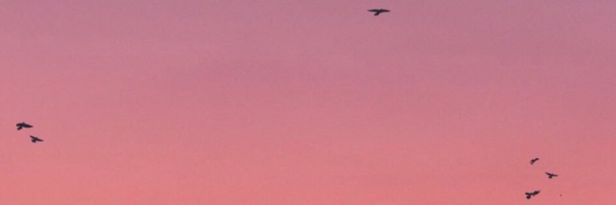 Faxh_'s profile banner image