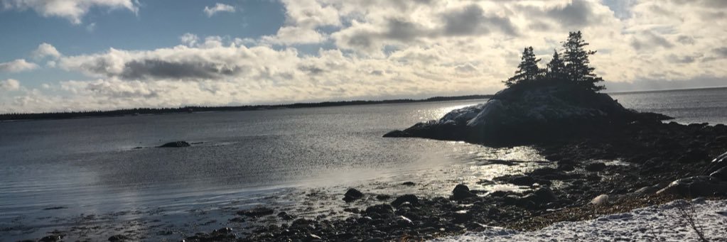JewellSMitchell's profile banner image