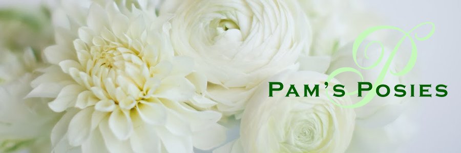 PamsPosies1's profile banner image