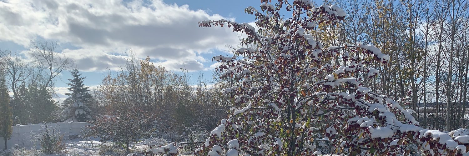 StayingAFloat banner