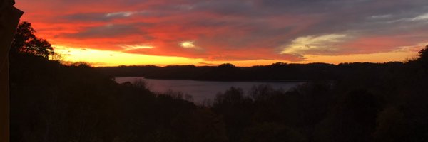 Dank27177995 Profile Banner