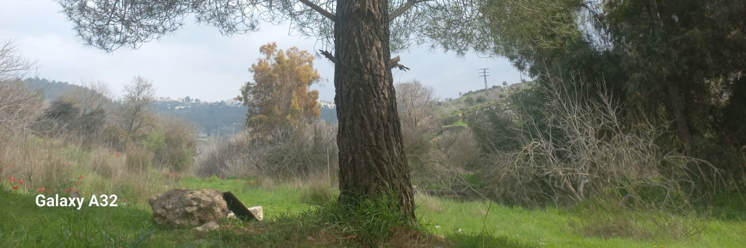 אהרן גרבר's banner