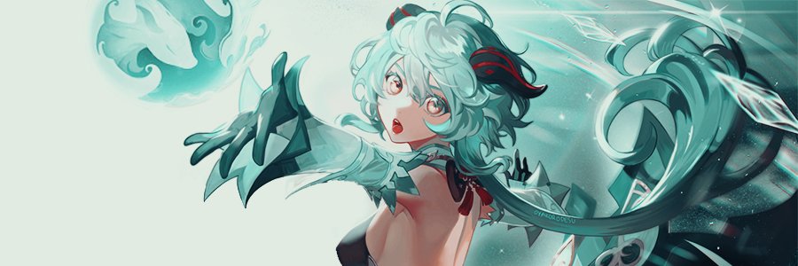 QILINSECR3TARY's profile banner image