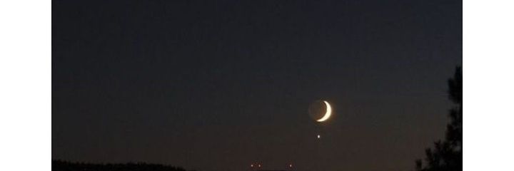 Geraldine Mcloughlin banner