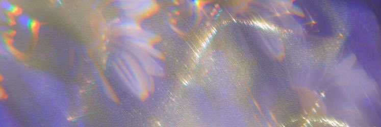 angelilazo's profile banner image