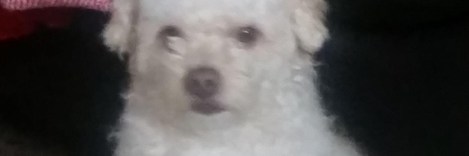 nileve555's profile banner image