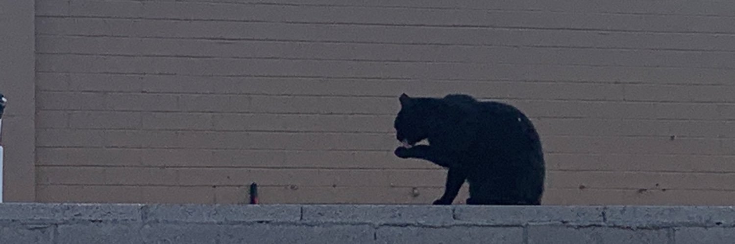 🗝🥄🪂 abbas araghchi enthusiast🔻 banner