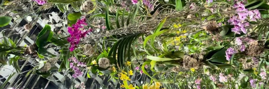 Kazuaha's profile banner image