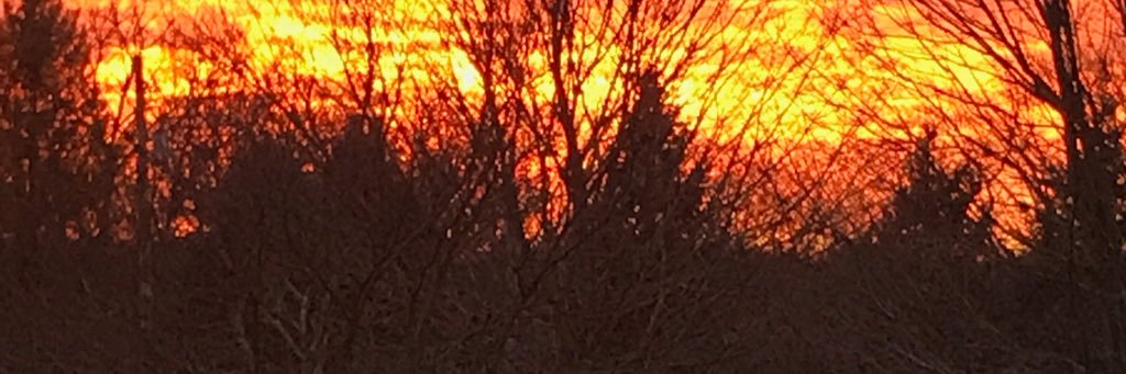 🌹🦋🇺🇸Michele🇺🇸🦋🌹's banner