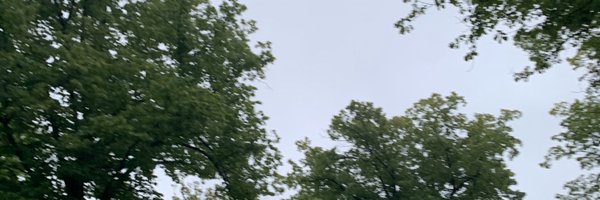 bulow Profile Banner