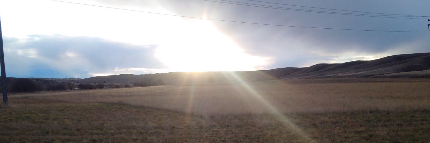 KimMacKinnon01's profile banner image