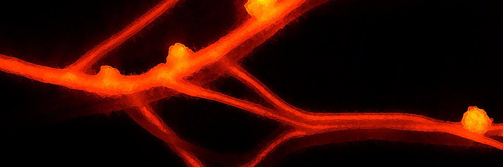 Nit_Fix's profile banner image