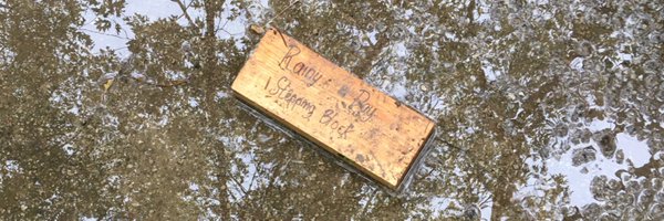 RandomSusla Profile Banner