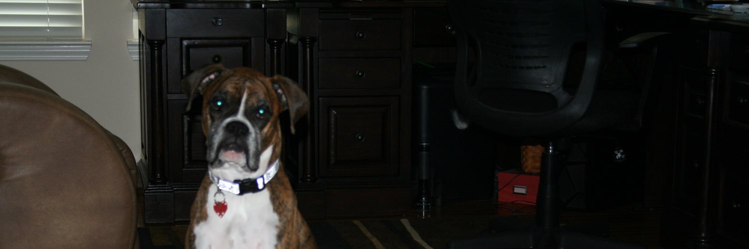 Llndakay's profile banner image