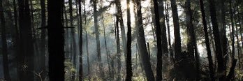 breagh_mason's profile banner image