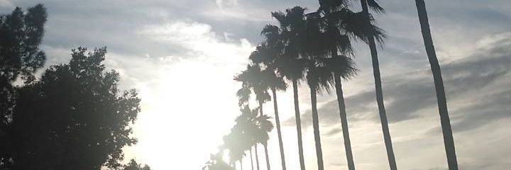 peanizzlee's profile banner image