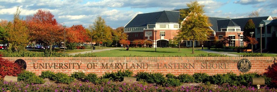 UMES Graduate School banner