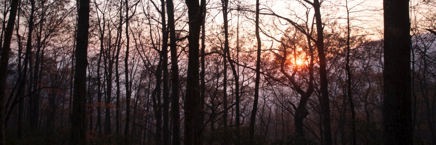 trinityhopel's profile banner image