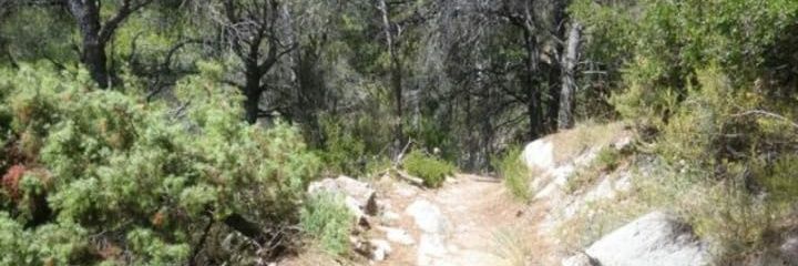 Xixarello's profile banner image