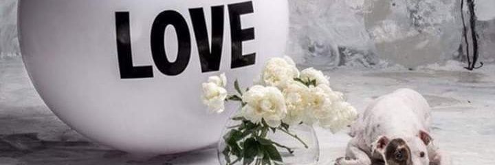 bucie_hazel's profile banner image
