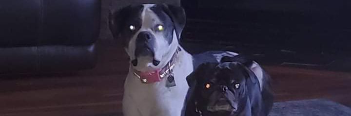 Cora__C18's profile banner image