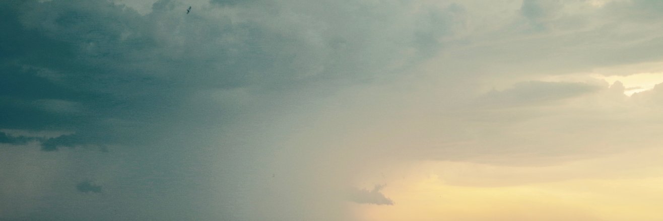 Guillaume Thieriot banner