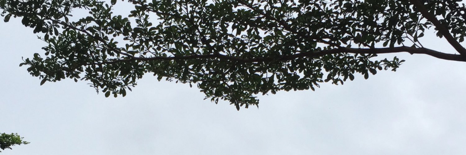 kardssp's profile banner image