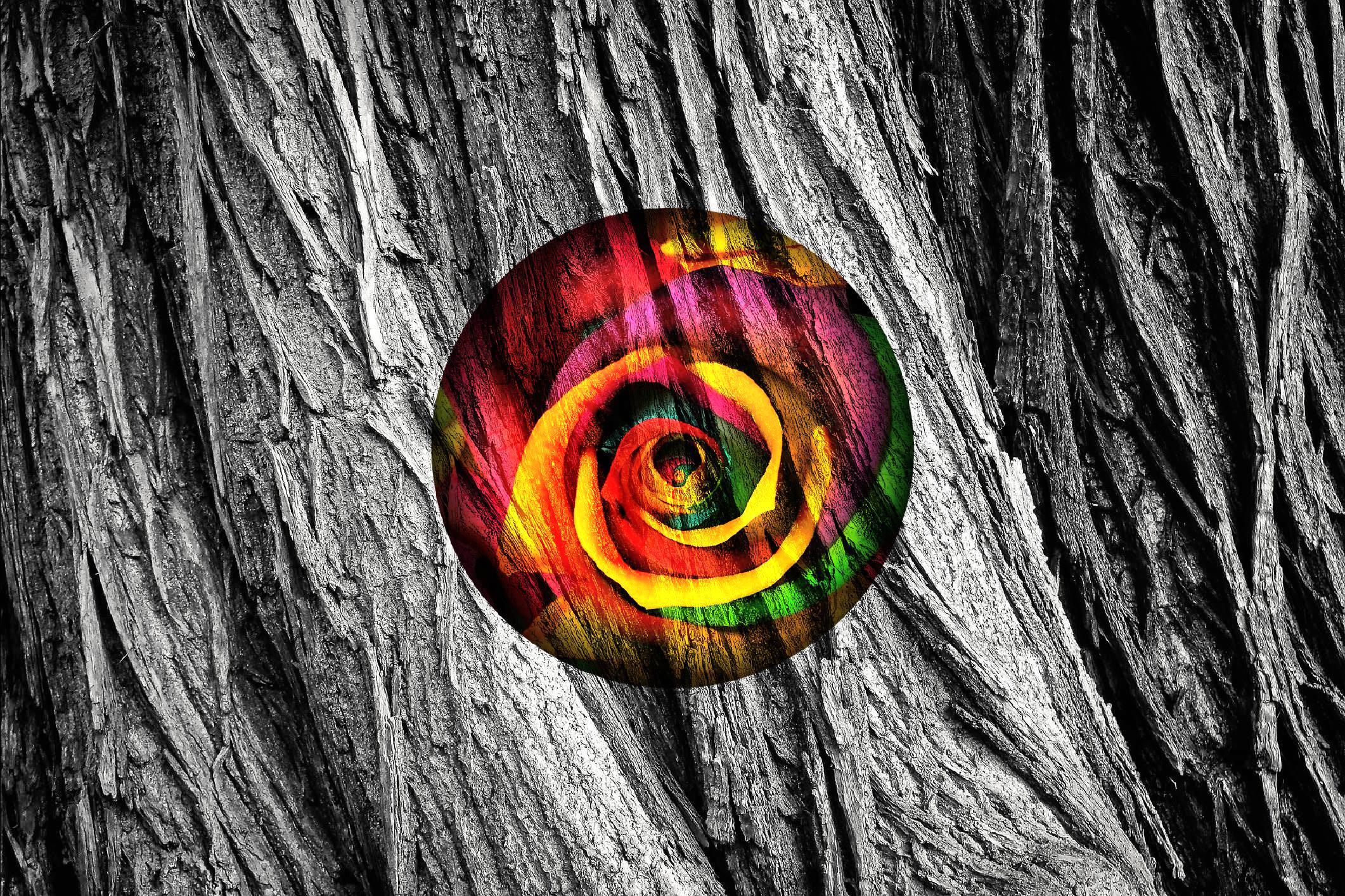 Twisted_Rose_'s profile banner image