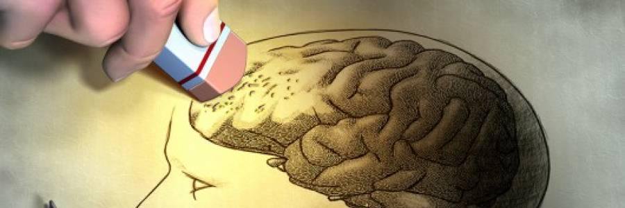 VikaHok's profile banner image