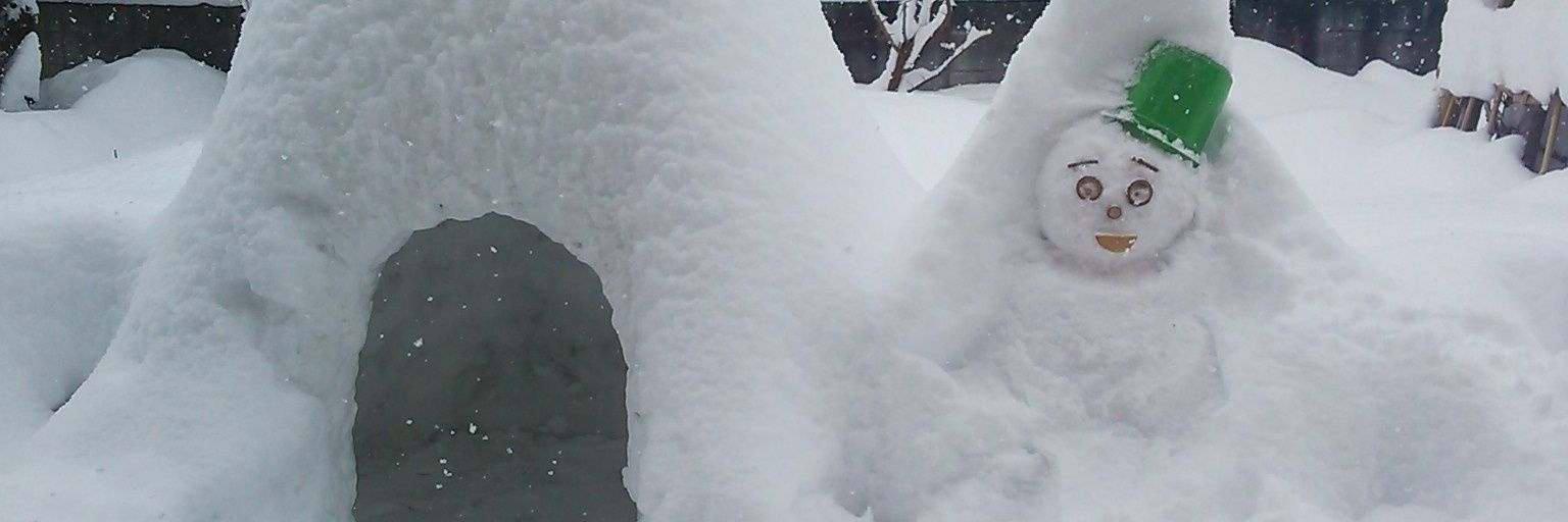momonoyu's profile banner image