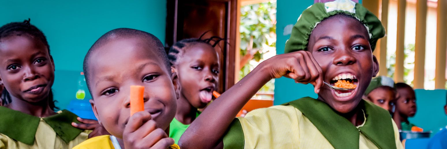 NHGSFP - National Home-Grown School Feeding Prog. banner