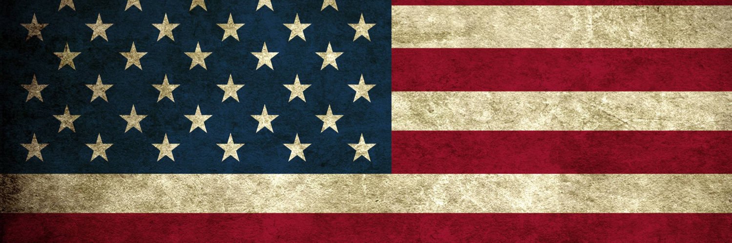 2A Z Patriot #EndVoterFraud🇺🇸 banner