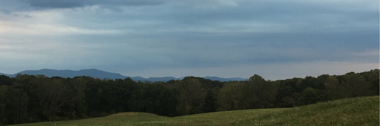 EmilinaSmithOTA's profile banner image