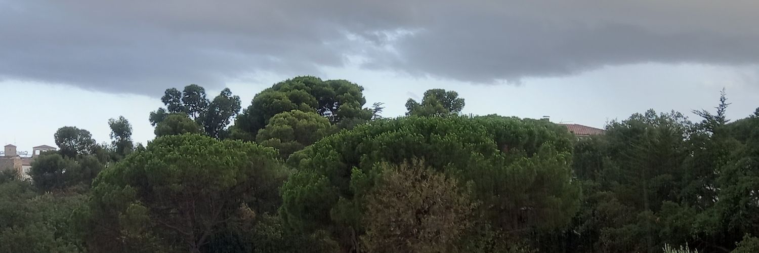 Mercecruells's profile banner image