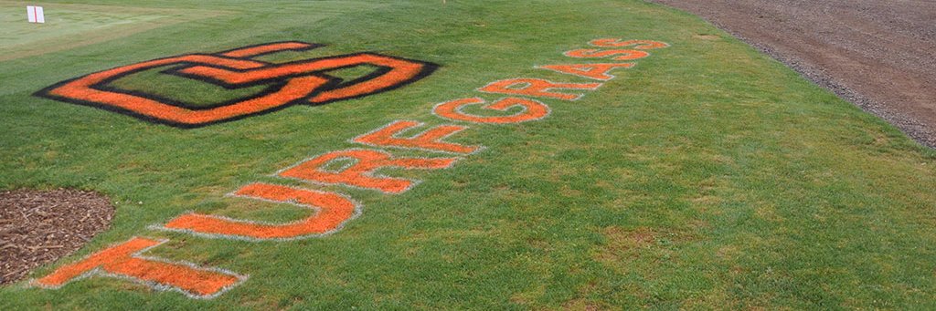 osubeaverturf's profile banner image