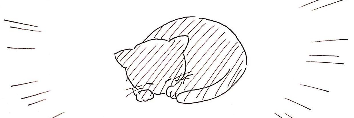 shi_mami_2's profile banner image