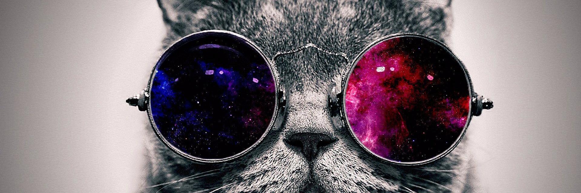 wina__'s profile banner image
