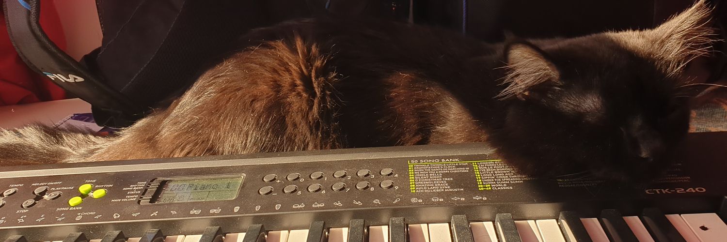 MufasaToast's profile banner image