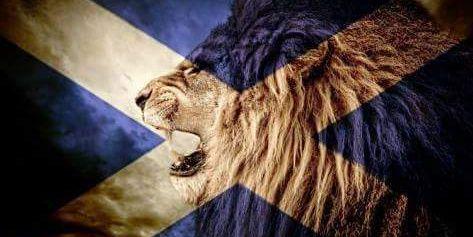tami_mcclain's profile banner image
