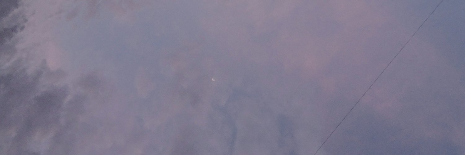 Eugenia Ustinova banner
