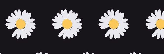 Litajanet's profile banner image