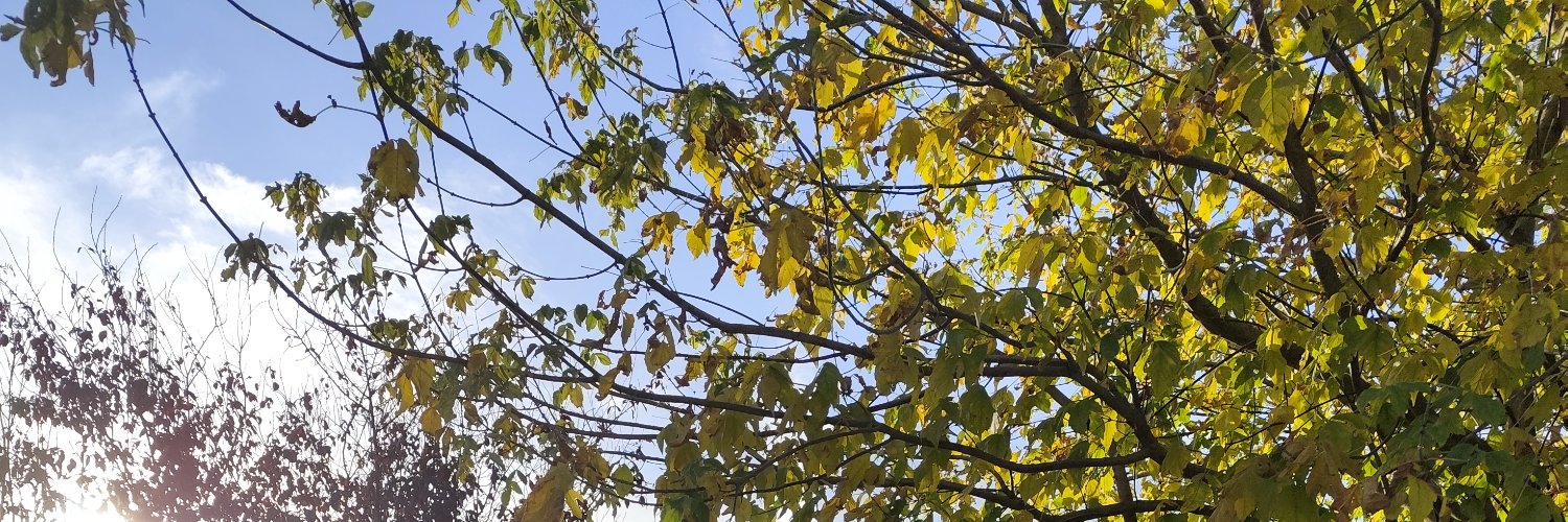 Petteresque2_0's profile banner image
